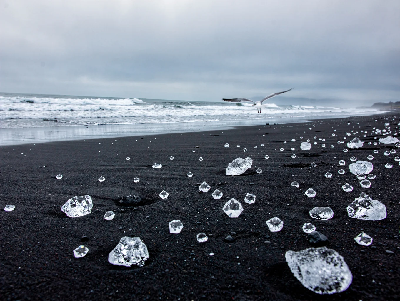 Ice fragments on black sand beach