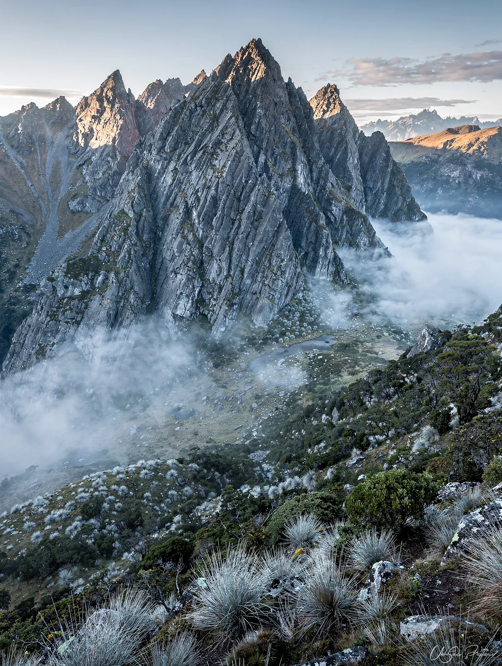 Mist-covered peaks and lush valleys in New Zealand